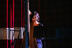 Harpist-7-28-26-ATL-@thelightriot-Chris-Collett-25