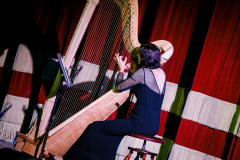 Harpist-7-28-26-ATL-@thelightriot-Chris-Collett-27