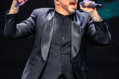 Pitbull-10
