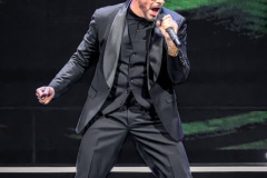 Pitbull-11