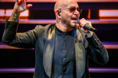 Pitbull-17