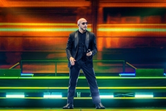 Pitbull-18