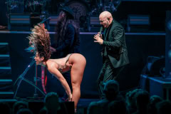 Pitbull-27