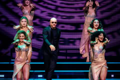 Pitbull-4