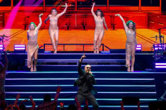 Pitbull-6