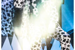 0C9F9026-6D18-4E63-80BA-D33C51EB7E7B