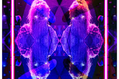 2F98BEFC-B2D5-4F0F-B2FE-D3C11E50AC7E