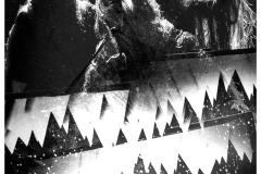 610A9056-D290-4063-A7B0-61515DE39124