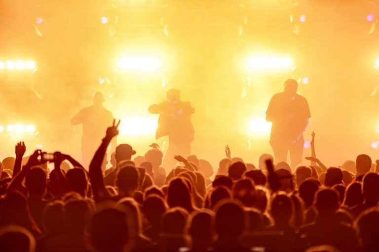 Breaking the Chains: Understanding the Heavy Metal Fan Community