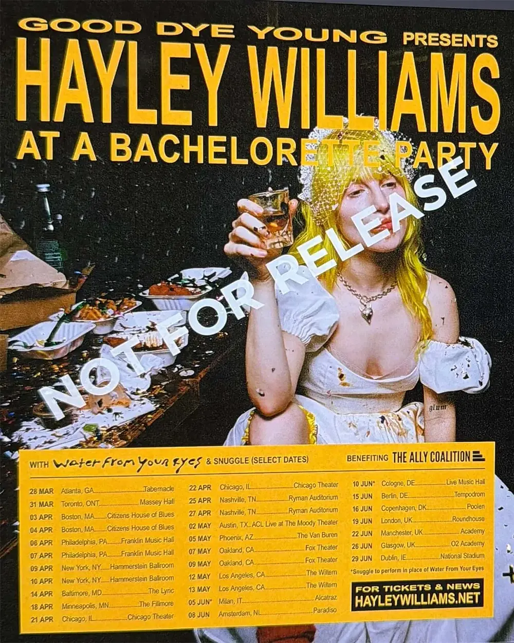 Haley Williams 2026 Tour Leak